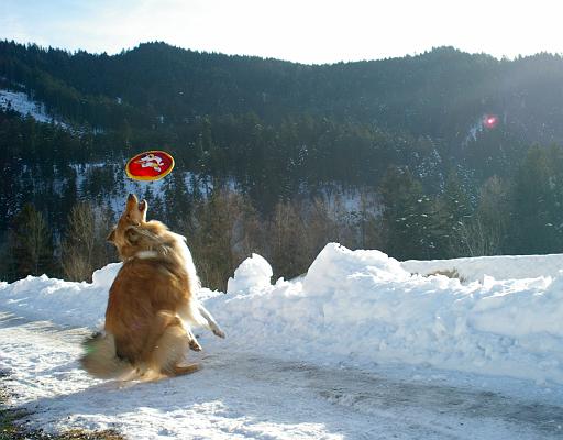 Fotos f. Homepage Galerie 029